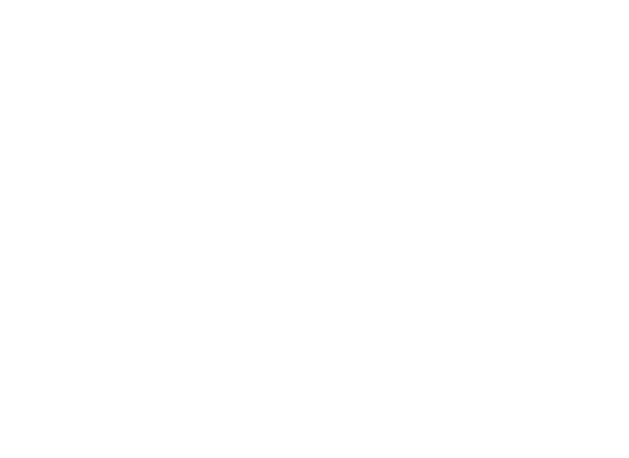 The Borribles